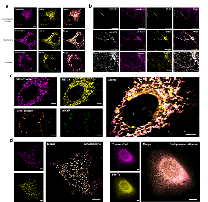 8c3862b9c00b4c75b25fbcc2e0b5d8e8.png 8c3862b9c00b4c75b25fbcc2e0b5d8e8.png